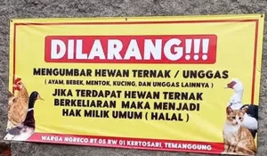 Warga Ngreco Temanggung Terapkan Aturan Unik, Unggas Lepas Bisa Jadi Milik Umum