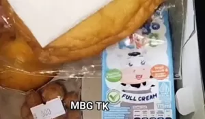 Viral! Program MBG Lebih Terbuka, Harga Nasi hingga Susu Dicantumkan