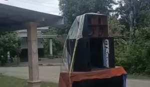 Kreatif dan Unik! Warga Gunakan Sound Horeg untuk Usir Ayam Saat Jemur Gabah