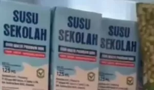 Viral! Rekaman Kulkas Penuh “Susu Sekolah” Diduga Terkait Jatah MBG
