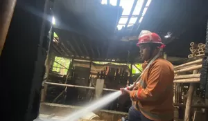 Kandang Sapi di Jumantono Karanganyar Nyaris Ludes Terbakar, Diduga Akibat Bakar Sampah