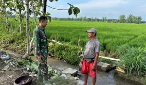 Humanis, Sertu Sunardi TMMD Sragen Serap Aspirasi Petani di Tengah Istirahat Siang