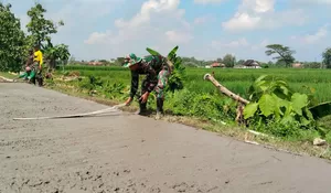 Warga dan Satgas TMMD Kebut Betonisasi Jalan di Desa Puro Sragen, Roskam 120 Cm Jadi Alat Andalan