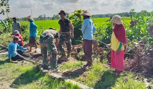 Semangat Kartini di TMMD Sragen, Bu Suliyem Tetap Tangguh Bangun Jalan Desa di Usia 70 Tahun