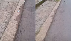 Viral Uang Berserakan di Jalan, Warga Tak Berani Ambil karena Mitos Uang Tumbal