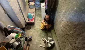 Dramatis! Anjing Peliharaan Mengamuk di Sragen, Tiga Orang Digigit, Petugas Damkar Ikut Jadi Korban