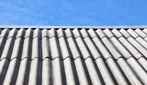 Waspada Bahaya Asbes: Bisa Picu Kanker hingga Gangguan Paru-Paru