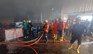 Kebakaran Pabrik Plywood di Karanganyar, Api Diduga Berasal dari Tungku Oven