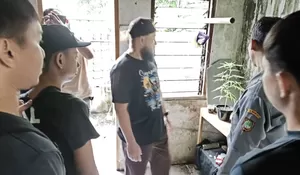 Polresta Surakarta Ungkap Kasus Ganja di Laweyan, Mahasiswa Ditangkap Tanam 3 Pohon