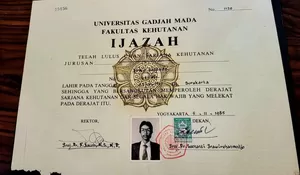 Jusuf Kalla Bantah Tudingan Rismon Sianipar Danai Roy Suryo Cs Soal Isu Ijazah Jokowi Rp5 Miliar