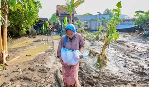 Jawa Tengah Tetap Surplus Pangan di Tengah Banjir, Stok Beras Capai 702 Ribu Ton