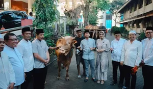 Momen Iduladha 2026, Wali Kota Respati Ardi Serahkan Hibah Enam Sapi Kurban