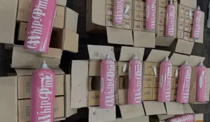 Terungkap, Asisten YouTuber Pesan Gas Whip Pink lewat Google dan WhatsApp