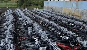 Bikin Takjub! Ribuan Motor Pendaki Gunung Prau Parkir Super Rapi, Helm Dibungkus Plastik Tuai Pujian
