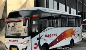 Jejak Sukses PO Bagong, dari Bus Antarkota Jawa Timur hingga Ekspansi ke Timor Leste