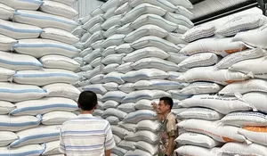 BULOG Tembus Serapan 3 Juta Ton Gabah-Beras Petani, Rekor Baru Perkuat Ketahanan Pangan Nasional