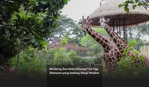 Bandung Zoo Akan Ditutup? Ini Tiga Skenario yang Sedang Dikaji Pemkot