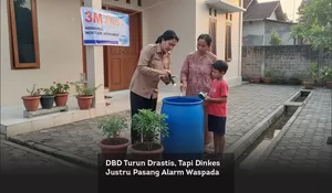 DBD Turun Drastis, Tapi Dinkes Justru Pasang Alarm Waspada