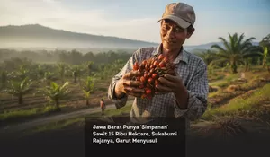 Jawa Barat Punya 'Simpanan' Sawit 15 Ribu Hektare, Sukabumi Rajanya, Garut Menyusul