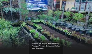 Sampah Jadi Pangan, Kota Bandung Percepat Program Sirkular dan Fokus pada Kelurahan