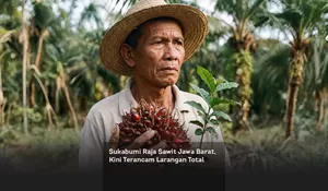 Sukabumi Raja Sawit Jawa Barat, Kini Terancam Larangan Total