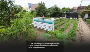 13 RW di Cibangkong Bandung Buktikan Lahan Sempit Bisa Hasilkan Panen dan Olah Sampah Sendiri
