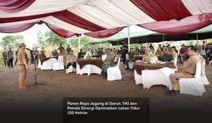 Panen Raya Jagung di Garut: TNI dan Pemda Sinergi Optimalkan Lahan Tidur 150 Hektar