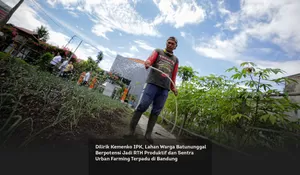 Dilirik Kemenko IPK, Lahan Warga Batununggal Berpotensi Jadi RTH Produktif dan Sentra Urban Farming Terpadu di Bandung