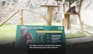 Izin Belum Keluar, Bandung Zoo Belum Bisa Dikunjungi saat Libur Lebaran
