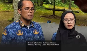 Kronologi Kematian Harimau di Kebun Binatang Bandung Akibat Virus Mematikan