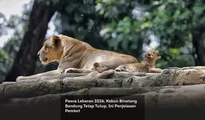 Pasca Lebaran 2026, Kebun Binatang Bandung Tetap Tutup, Ini Penjelasan Pemkot