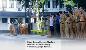Siaga Cuaca Ekstrem! Farhan: Dua Kali Pohon Tumbang, Siskamling Siaga Bencana Diaktifkan Lagi