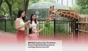 BBKSDA Siapkan Opsi Pindahkan Satwa Endemik Bandung Zoo ke Lembaga Konservasi Lain