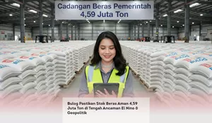 Bulog Pastikan Stok Beras Aman 4,59 Juta Ton di Tengah Ancaman El Nino &amp; Geopolitik