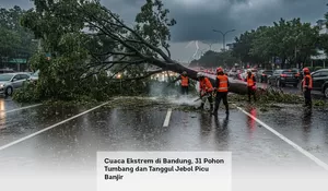 Cuaca Ekstrem di Bandung, 31 Pohon Tumbang dan Tanggul Jebol Picu Banjir