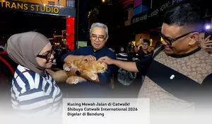 Kucing Mewah Jalan di Catwalk! Shibuya Catwalk International 2026 Digelar di Bandung