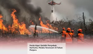 Polda Kepri Selidiki Penyebab Karhutla, Pelaku Terancam 15 Tahun Penjara