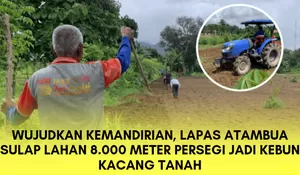 Sokong Swasembada Pangan, Lapas Atambua 'Hajar' Lahan Tidur 8.000 Meter Jadi Kebun Produktif