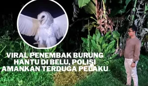 Terapkan KUHP Baru: Seorang Pria di Belu Diamankan Polisi,Usai Siksa Burung Hantu Hingga Mati