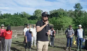 Perkuat Ketahanan Pakan, Wabup Belu Pimpin Penanaman 150 Hektare Lahan di Sonis Laloran