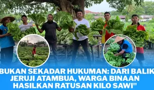 Dukung Ketahanan Pangan, Lapas Atambua 'Sulap' Lahan Tandus Jadi Kebun Sawi Produktif