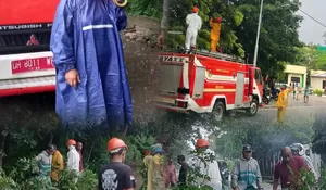 Kado Valentine dari Atambua: Dokter Ansilla dan Tim BPBD 'Sapu Bersih' Pohon Rawan Tumbang