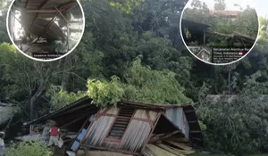 Bencana Tak Kenal Waktu, Pelayanan Tak Kenal Libur:Aksi Cepat BPBD Belu Evakuasi Pohon Tumbang di Dusun Berluli- Kakuluk Mesak