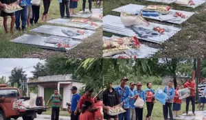 Pemkab Belu Gerak Cepat, BPBD Salurkan Bantuan Darurat untuk Korban Angin Kencang di Tasifeto Barat