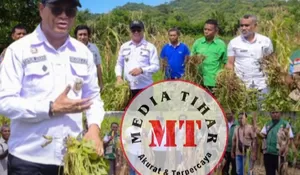 Wabup Belu Vicente Hornai: Ketahanan Pangan Nasional Dimulai dari Desa Kenebibi