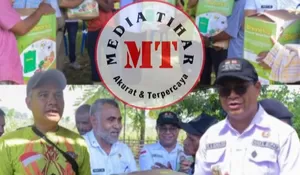 Terima Kasih Pemkab Belu! Kelompok Tani Kun Bot Indah Siap Balas Bantuan dengan Prestasi Panen