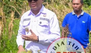 Vicente Hornai: Tanpa Petani Kita Bukan Apa-Apa, Ketahanan Pangan Nasional Lahir dari Desa