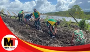 Tingkatkan Ketahanan Pangan Perbatasan, Satgas Yonarmed 12 Bantu Petani Dafala Olah Lahan