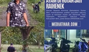 Polres Belu Gerebek Judi Sabung Ayam di Hutan Jati Raihenek, Belasan Motor Diamankan
