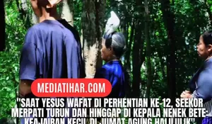 Viral, Fenomena Merpati Hinggap di Kepala Jemaat Paroki Halilulik Saat Detik-Detik Peringatan Wafat Yesus Kristus